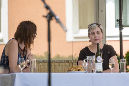 “My tři králové došli sme k vám” na Dolňáckých slavnostech v Hluku